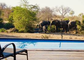 Zazu Private Bush Lodge, Formerly Masodini 2