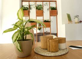 Hypnos Boutique Hotel 4
