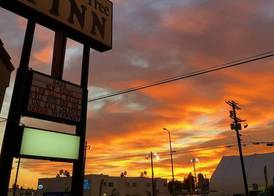 Palm Tree Inn 4