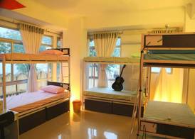 Zostel Udaipur 3