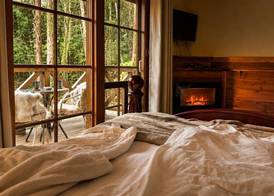 Cradle forest inn 5
