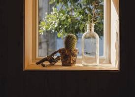 The Nest by Cooking and Nature 5