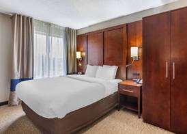 Comfort Inn & Suites Conway 4