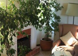 Hotel Villa Sarah 4