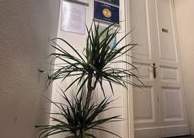B&B I Puritani 3