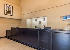 Comfort Inn & Suites Crystal Inn Sportsplex 3