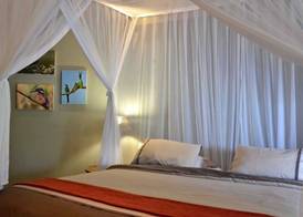 Tingala Lodge - Bed in the Bush 4