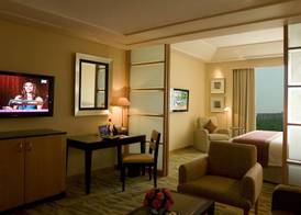 The Grand New Delhi 3