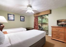 Mountain Meadows 5
