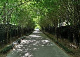 Twin Lotus Resort and Spa - SHA Plus - Adult Only "November - April" 2