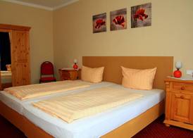 Carea Harz Hotel Allrode 3