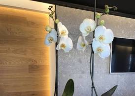 MYHOME 75 Premium Luxury B&B 2
