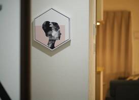 Sky Living Namba 3