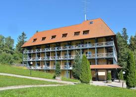 Schwarzwald Park Hotel 2