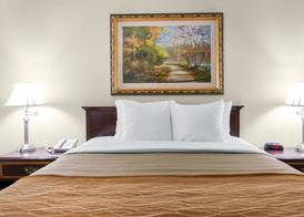 Comfort Inn Plainwell 3