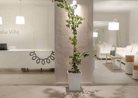 Aelia Villa 2