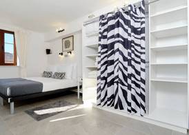 Zebra 2