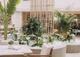 Fujairah Rotana Resort & Spa - Al Aqah Beach 4