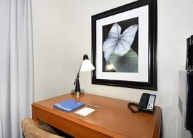 Fairfield Inn & Suites by Marriott Portland Airport 4