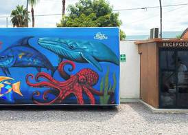 InHouse Glamping Hotel La Paz 2