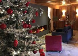 Chalet d'Adrien 2