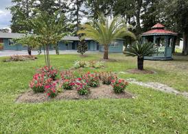 Carole Motel 5
