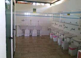 Camping Degli Ulivi 4