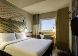 Ibis Americana 3