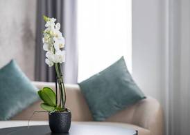 Hotel Rheingerbe 4