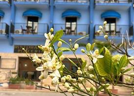Hotel Al Faro 2