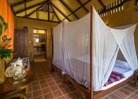 Our Jungle Camp 3