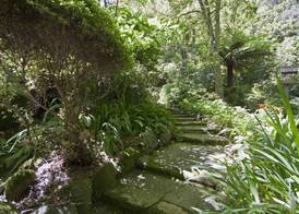 Lotus Lodges 2