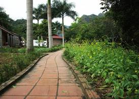 Viet Hai Lan Homestay 3