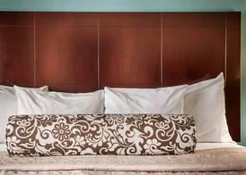 Best Western Plus Katy Inn & Suites 5