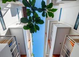 Aralea Coliving 3