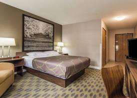 Deluxe Inn Willows 4