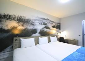 Brit Hotel Le Polder 5
