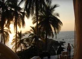 Cocos camp 5