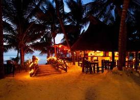 Beachfront Hotel La Palapa - Adults Only 4