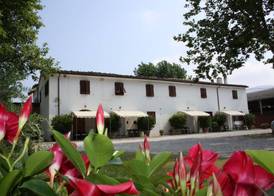 Agriturismo La Pisana 4