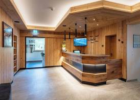 Hotel Alpina 3