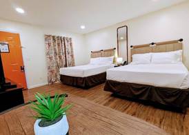 The Honey Bee Motel 5