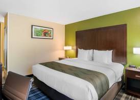 Quality Inn & Suites Albany Corvallis 5