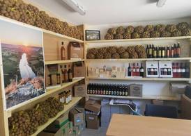 Camping la Plage Lot Vallée de la Dordogne Rocamadour 2