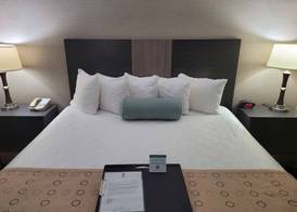 Best Western Airport Inn 5