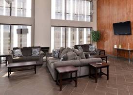 Quality Inn & Suites Matteson near I-57 2