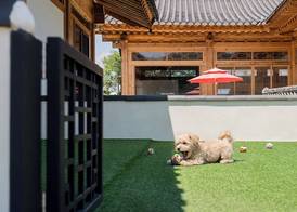 Gyeongju Hanok Stay Cheonwon Maeul 4