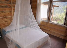 Shiva Camp 4