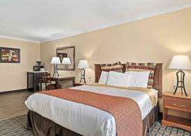 Lemon Tree Hotel and Suites 5
