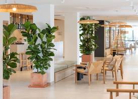 Copaiba by Honne Hotels - Adults Only 2